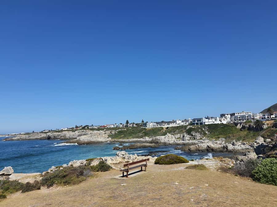 Cape Town: Hermanus Whale Watching Shared Boat & Penguins - Hermanus and the Whale Coast, what this day actually delivers