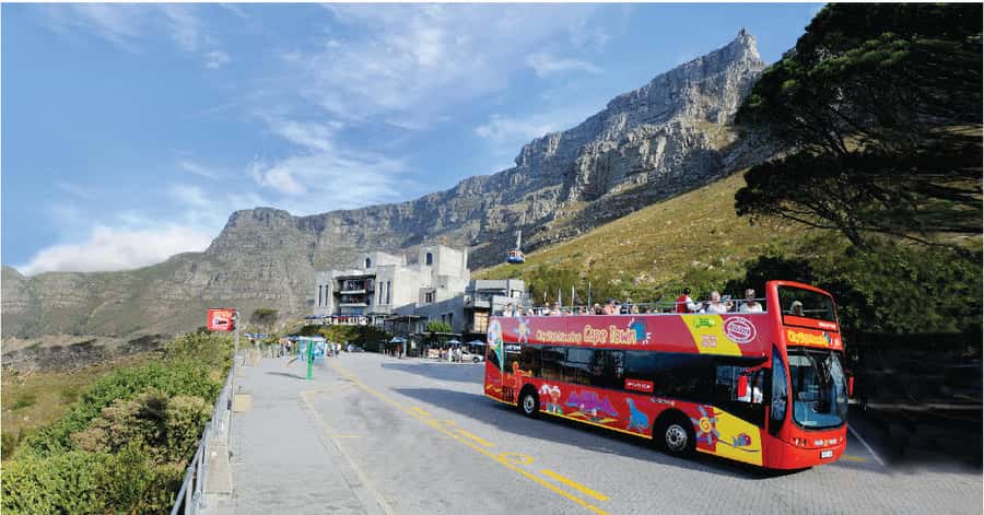 Cape Town: Hop-On Hop-Off Bus Tour with Optional Cruise - Key things I’d prioritize on this tour