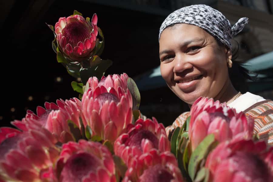 Cape Town: Introductory City Tour by Foot and Minibus - Key highlights you will actually feel during the tour
