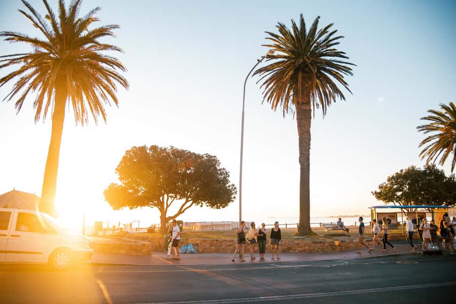 Cape Town: Introductory City Tour by Foot and Minibus - Victoria and Alfred Waterfront: the city’s busiest doorstep