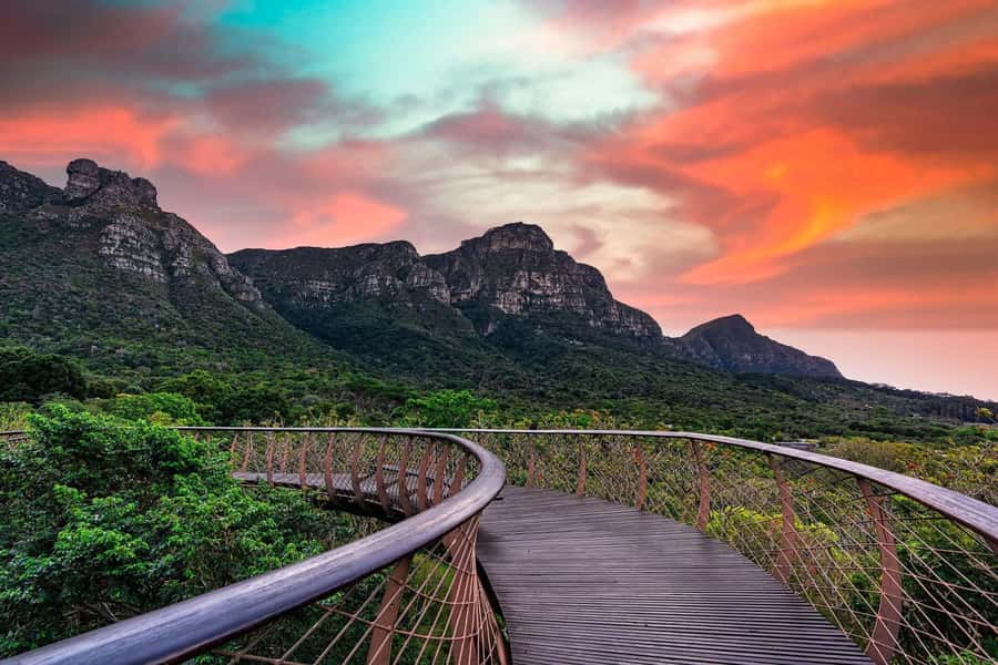 Cape Town: Kirstenbosch Botanical Garden Entry Ticket - Waterwise Garden: calmer stops and smarter water thinking