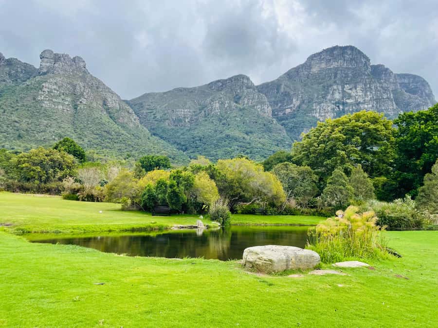 Cape Town: Kirstenbosch Botanical Garden Entry Ticket - Price and value for a one-day ticket around $34