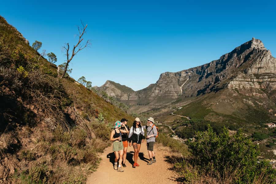Cape Town: Lion's Head Guided Hike at Sunset - The hike up: nature notes, route guidance, and the pace you need