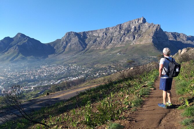 Cape Town: Lion's Head Hike - Sunrise lighting: why this hike is so popular before the city wakes