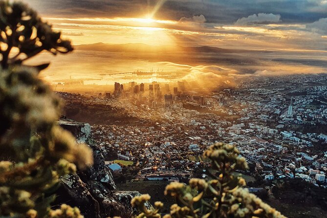 Cape Town: Lion's Head Sunrise/Sunset Hike - Who This Hike Fits Best (and Who Should Reconsider)
