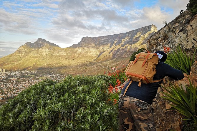 Cape Town: Lion's Head Sunset Hike - Price and Value: Is $94.90 a Smart Spend?