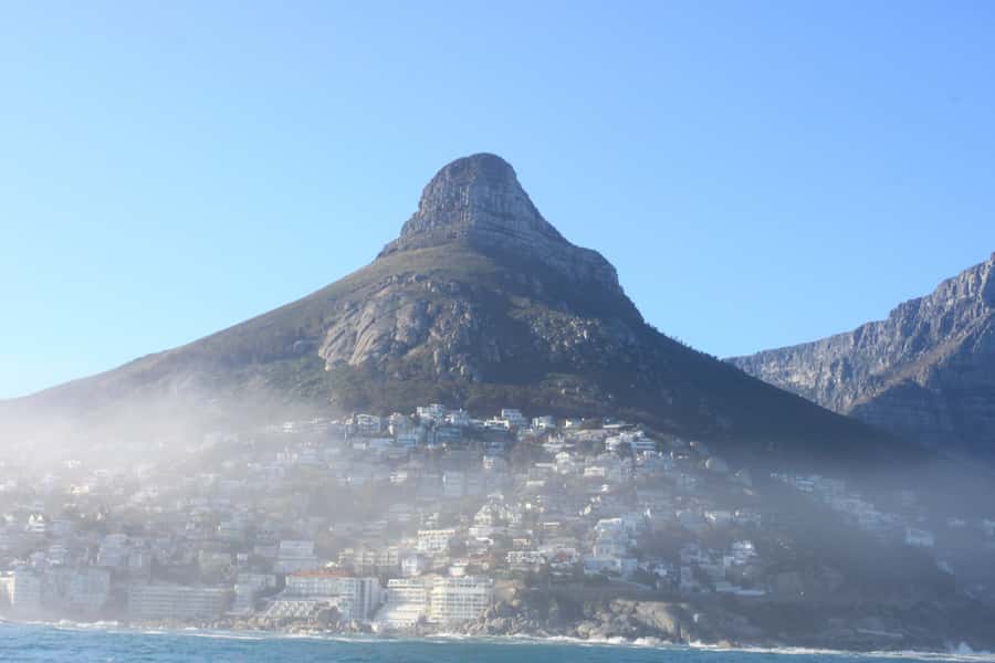 Cape Town: Marine Big 5 Ocean Safari from V&A Waterfront - Key things to know before you go