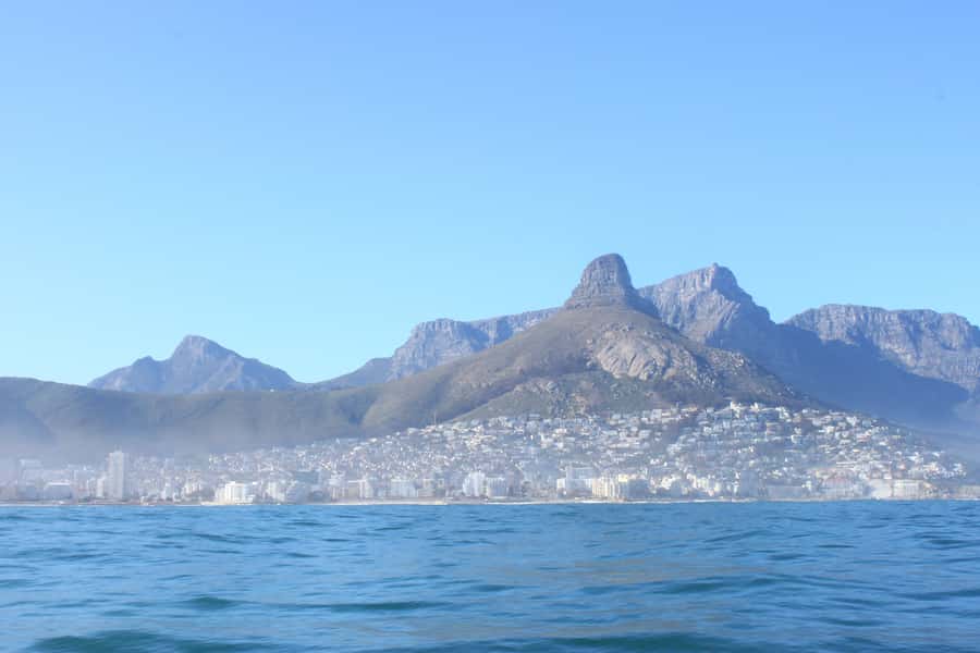 Cape Town: Marine Big 5 Ocean Safari from V&A Waterfront - Price and value: is $68 worth 90 minutes on the water?