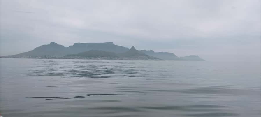 Cape Town: Marine Biologist Led Safari Tour - V&A Waterfront - What to wear and bring, because wind is the real enemy