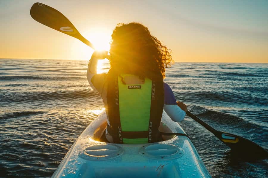 Cape Town: Marine Life Kayak Tour From the V&A Waterfront - Gear and Comfort: What You Get, What You Bring, What Matters Most