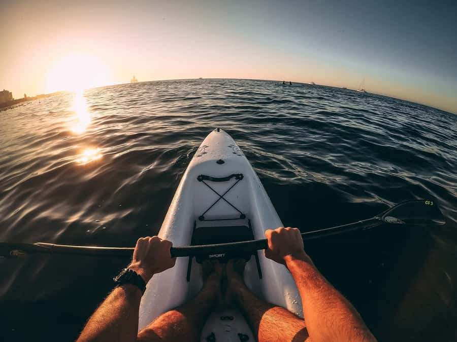 Cape Town: Marine Life Kayak Tour From the V&A Waterfront - Who This Tour Suits Best (And When to Choose Something Else)