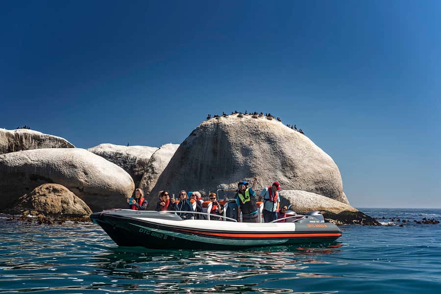 Cape Town: Marine Wildlife Tour from the V&A Waterfront - The hydrofoil ride: the fastest way to read Table Bay