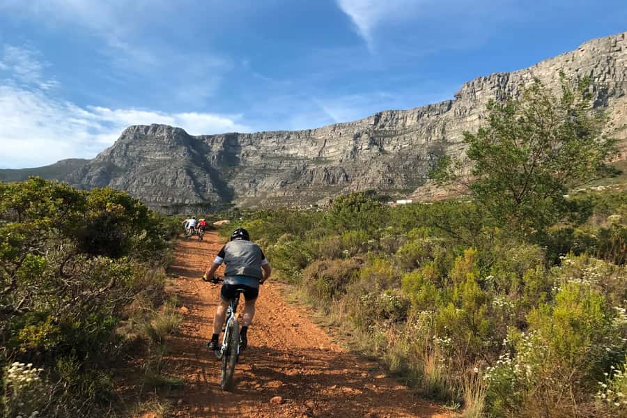 Cape Town: Mountain Biking Trip along Table Mountain - Why biking Table Mountain beats a bus ride