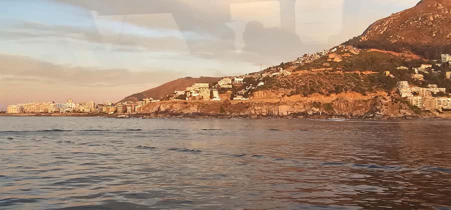 Cape Town: Ocean Safari 1 Hour - Key things that make this ocean safari worth your time