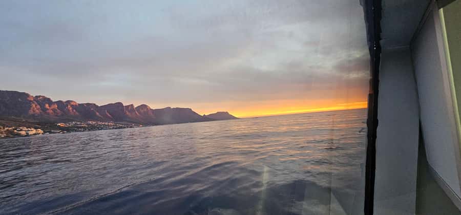 Cape Town: Ocean Safari 1 Hour - FAQ