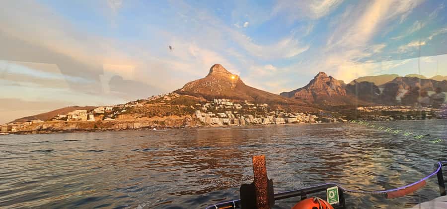 Cape Town: Ocean Safari 1 Hour - From V&A Waterfront to the open Atlantic, and back again