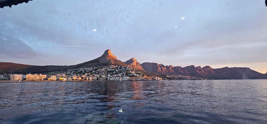 Cape Town: Ocean Safari 1 Hour - Comfort and prep: what to bring for a windy, sea-level experience