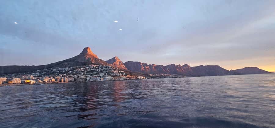 Cape Town: Ocean Safari 1 Hour - How much is it really worth at $62 per person?