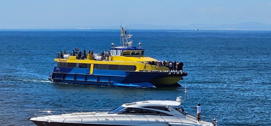 Cape Town: Ocean Safari 1 Hour - Who should book this Cape Town Ocean Safari, and who should skip it