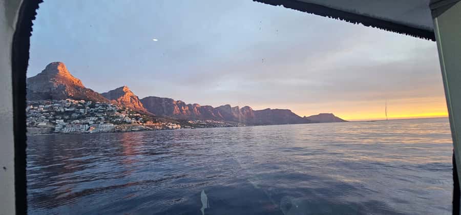 Cape Town: Ocean Safari 1 Hour - Should you book the 1-hour ocean safari from the V&A Waterfront?