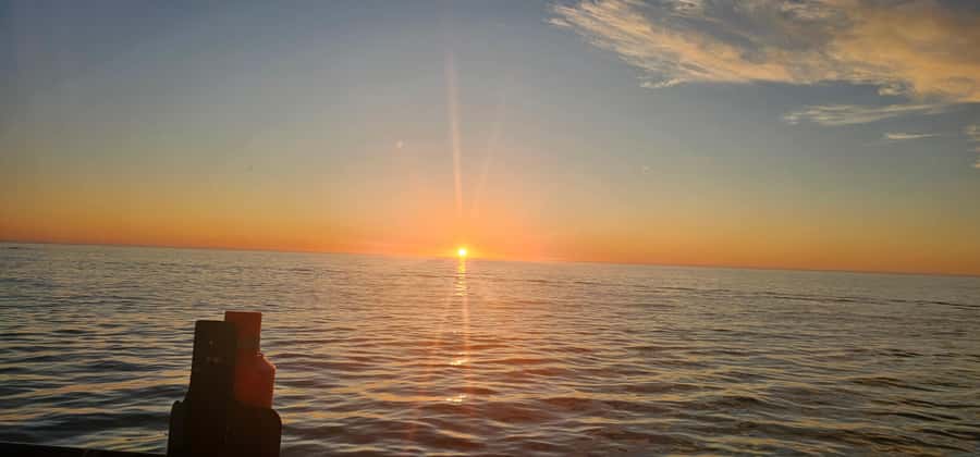 Cape Town: Ocean Safari 1 Hour - Table Mountain views from sea level are the real bonus