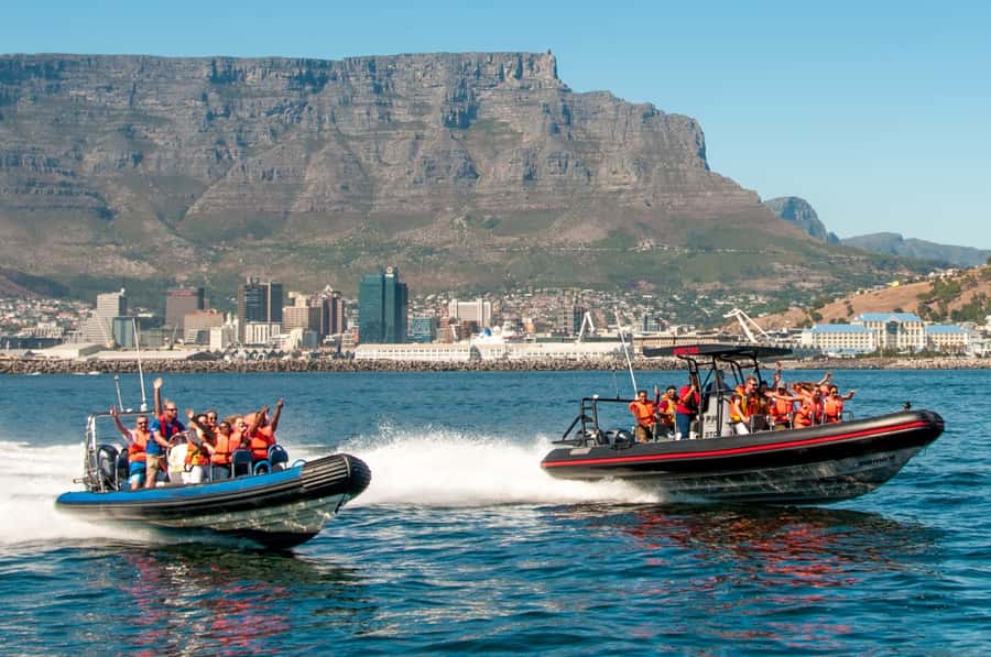 Cape Town Ocean Safari: Speed Boat Adventure in Table Bay - Speedboat Rhythm in Table Bay: Fast Out, Slow Search