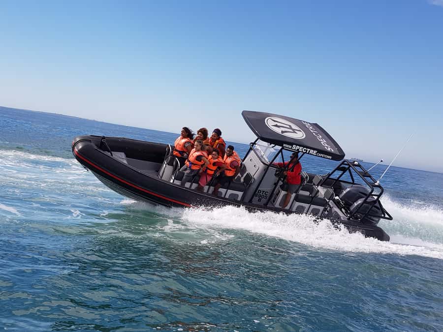 Cape Town Ocean Safari: Speed Boat Adventure in Table Bay - Landmark Views From the Water: Table Mountain, Robben Island, and More
