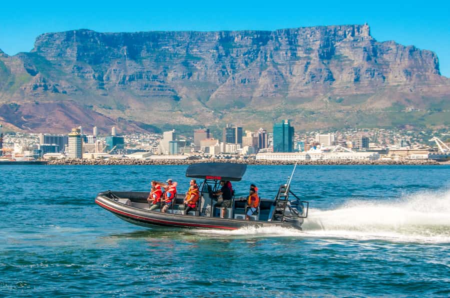 Cape Town Ocean Safari: Speed Boat Adventure in Table Bay - Wildlife Chances You Can Actually Get Excited About