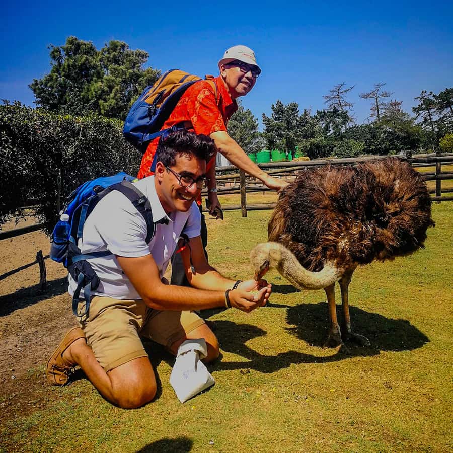 CAPE TOWN: OSTRICH RANCH QUAD BIKE RIDE & OSTRICH TOUR - Key highlights worth knowing