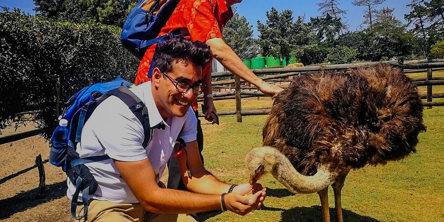 CAPE TOWN: OSTRICH RANCH QUAD BIKE RIDE & OSTRICH TOUR - Timing, meeting points, and how to avoid a rough start