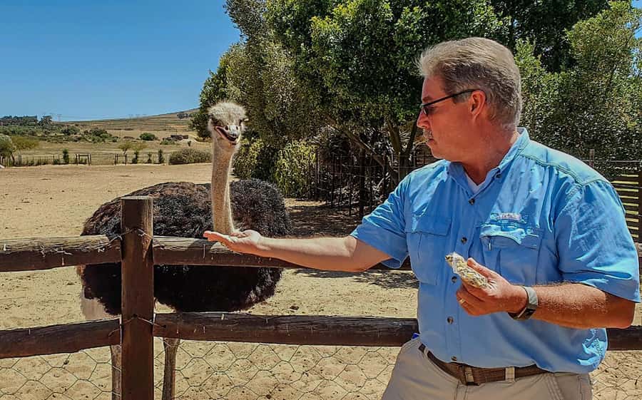 CAPE TOWN: OSTRICH RANCH QUAD BIKE RIDE & OSTRICH TOUR - What to bring (and what to skip)