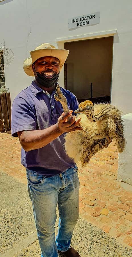 CAPE TOWN: OSTRICH RANCH QUAD BIKE RIDE & OSTRICH TOUR - The quad bike ride: instructions, terrain, and what you will feel