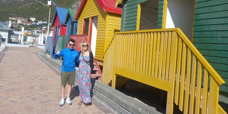 Cape Town .Penguin & Cape of good hope Half day Share Tour - Price and entrance fees: what you’re really paying for