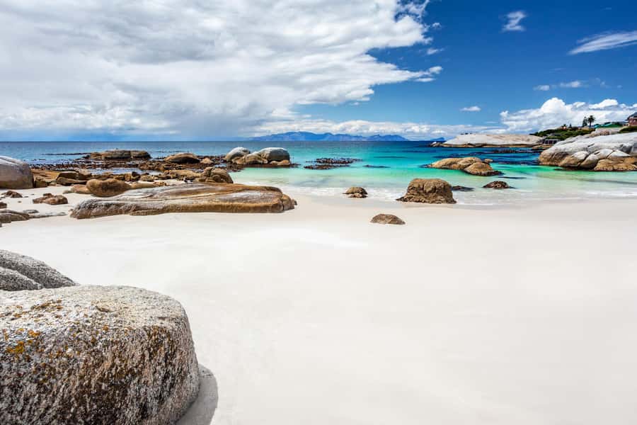 Cape Town: Penguin Watching at Boulders Beach Half Day Tour - Boyes Drive on the way back: False Bay views to close the loop