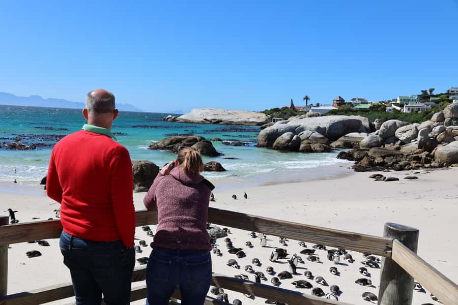 Cape Town: Penguin Watching at Boulders Beach Half Day Tour - Pickup, drop-off, and tour pacing that help you actually enjoy it