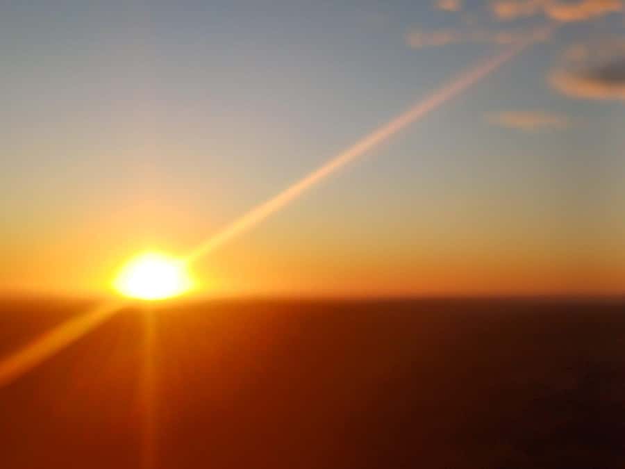 Cape Town: Penguins and Cape of Good Hope Sunset Tour - A tight half-day loop from Cape Town, built around icons