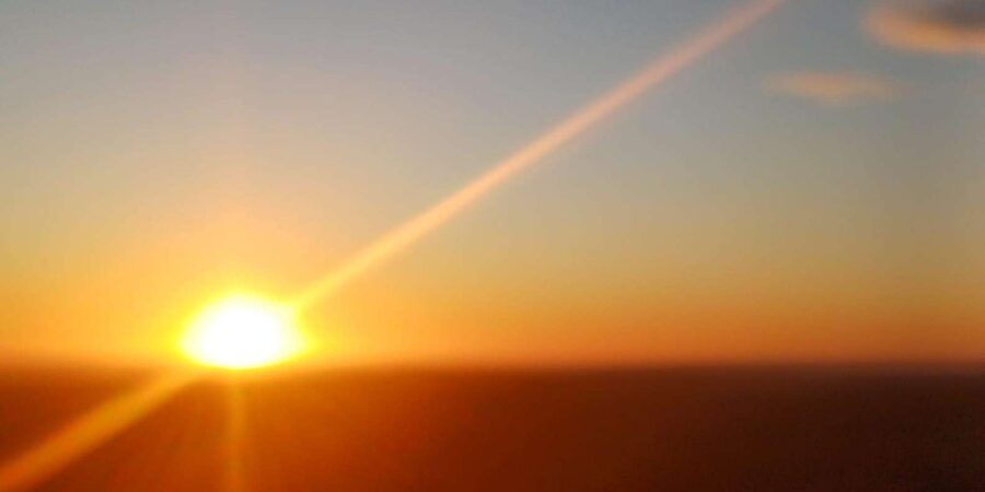 Cape Town: Penguins and Cape of Good Hope Sunset Tour - Cape of Good Hope: the nature reserve moment and the wildlife you can spot
