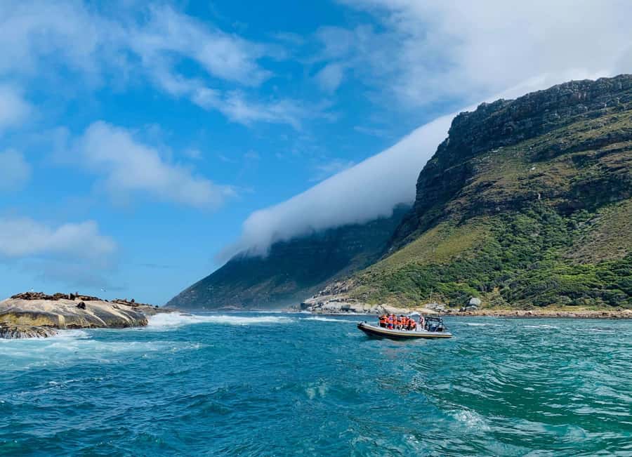 Cape Town: Penguins & Cape of Good Hope Day Tour with Pickup - Key things that make this tour work