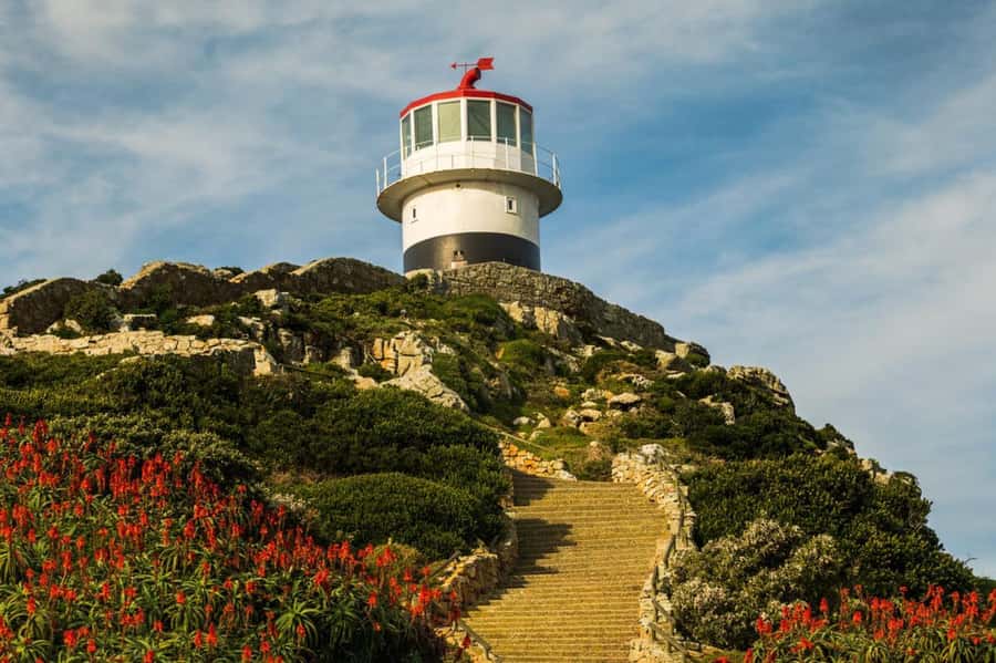 Cape Town: Penguins & Cape of Good Hope Day Tour with Pickup - Cape Point Nature Reserve and the lighthouse area
