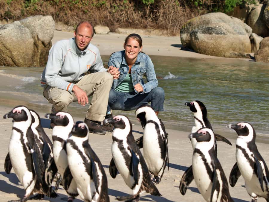 Cape Town: Penguins & Cape of Good Hope Half Day Shared Tour - How the half-day format fits Cape Town pacing