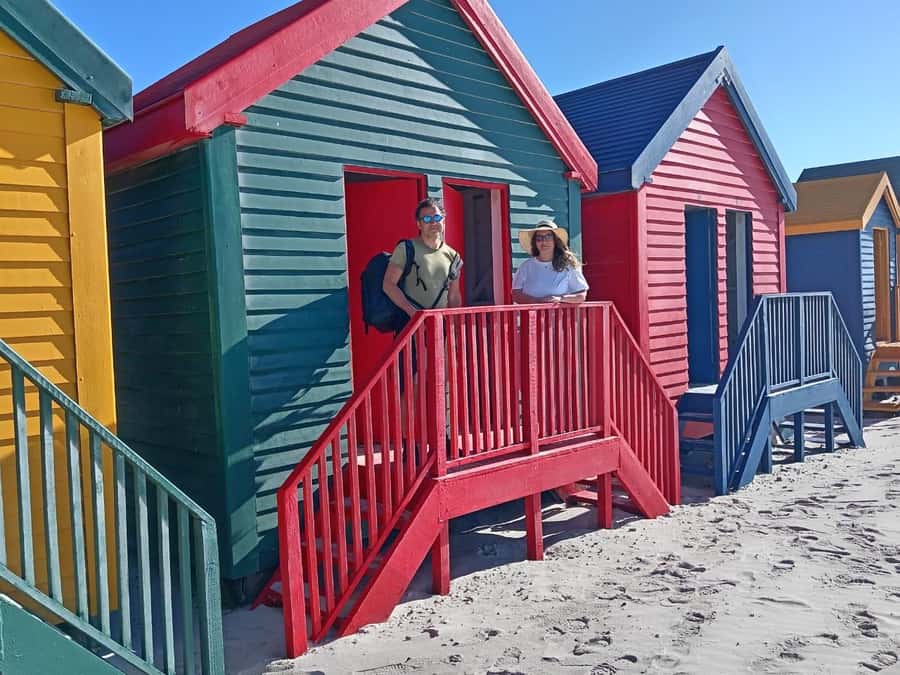 Cape Town: Penguins & Cape of Good Hope Half-Day Tour - Should you book this Cape Town penguins and Cape Point half-day?