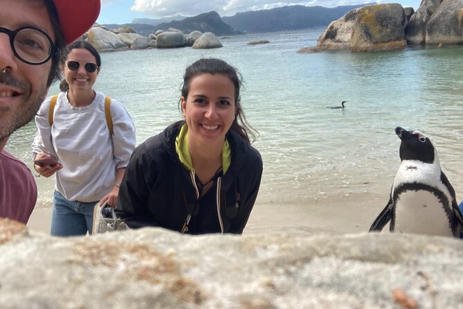 Cape Town: Peninsula, Cape of Good Hope and Penguins Tour - Stop 3: Boulders Beach Penguin Colony and Catwalk Time