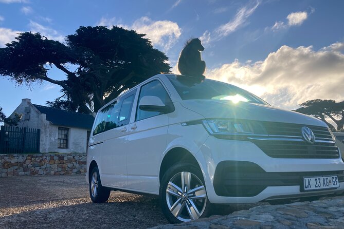 Cape Town: Peninsula, Cape of Good Hope and Penguins Tour - Stop 4: Cape Point Nature Reserve, Lighthouse Views, and Trail Options