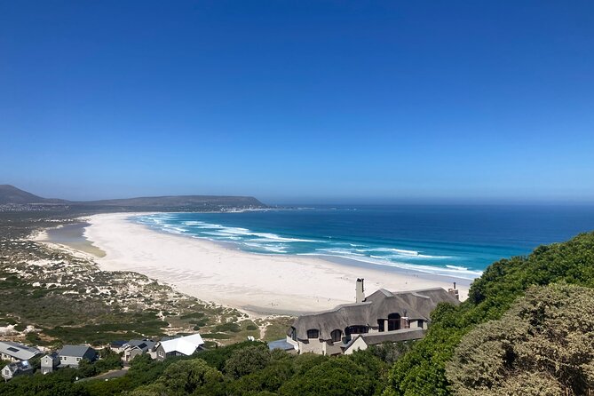 Cape Town: Peninsula, Cape of Good Hope and Penguins Tour - The Guide Factor: Why Michele’s Style Gets Mentioned