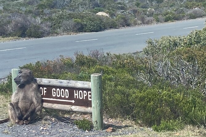 Cape Town: Peninsula, Cape of Good Hope and Penguins Tour - Duration and Pacing: 8 Hours That Feels Full, Not Panicked