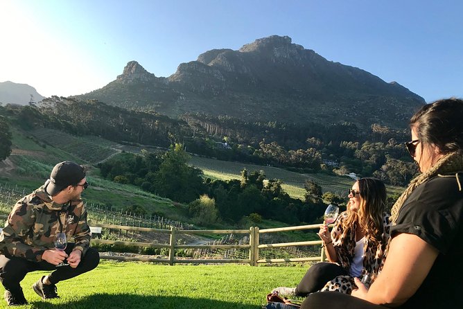 Cape Town Peninsula Day Tour ( Cape Point/Boulders/Wine Tasting) - Who this day works best for (and who should skip it)