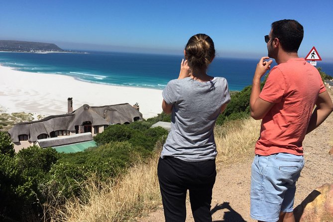 Cape Town Peninsula Day Tour ( Cape Point/Boulders/Wine Tasting) - Chapmans Peak Drive: the photo stop that actually earns its time