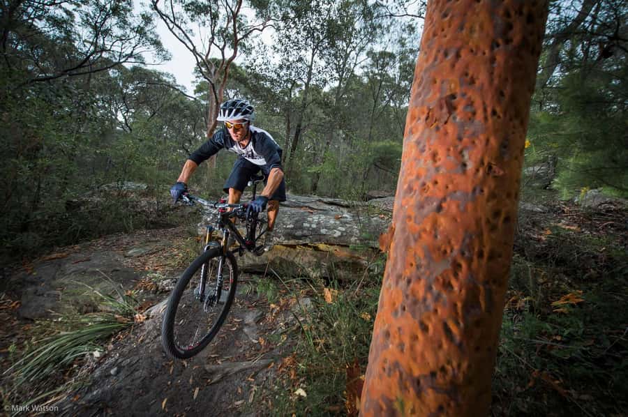 Cape Town: Peninsula Private Mountain Bike Tour with Ex-Pro - How Private MTB Trails Feel on the Cape Peninsula