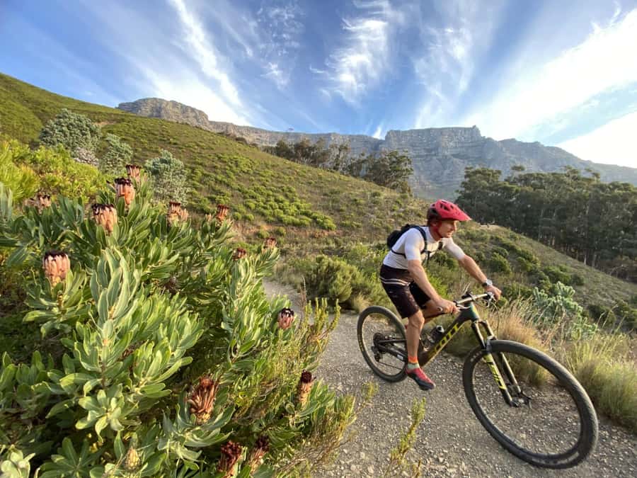 Cape Town: Peninsula Private Mountain Bike Tour with Ex-Pro - The 3-Hour Ride Plan: Greenbelts, Vineyards, and Trail Skills