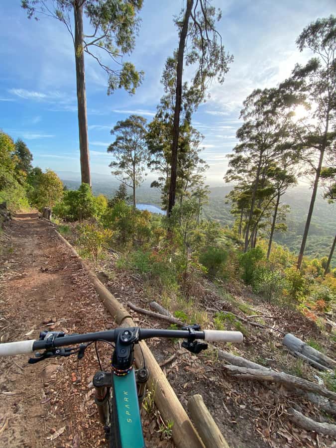 Cape Town: Peninsula Private Mountain Bike Tour with Ex-Pro - Views Worth Stopping For (and How the Guide Manages Them)